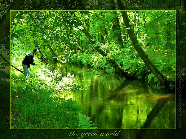 User submitted picture: Flyfishing with Limpe in ...