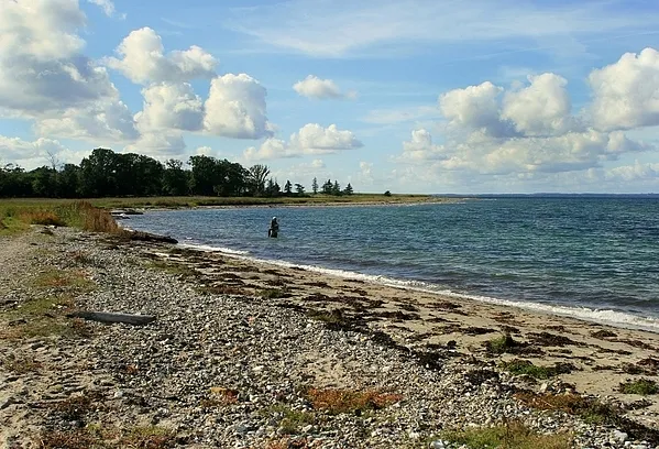 User submitted picture: Ivar on the coast