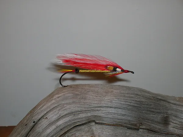 User submitted picture: Alans Parm a Special Stre...